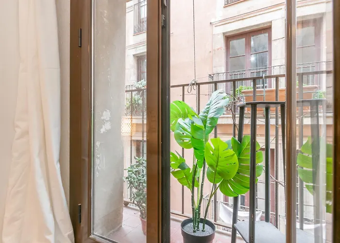 Apartament Veguer